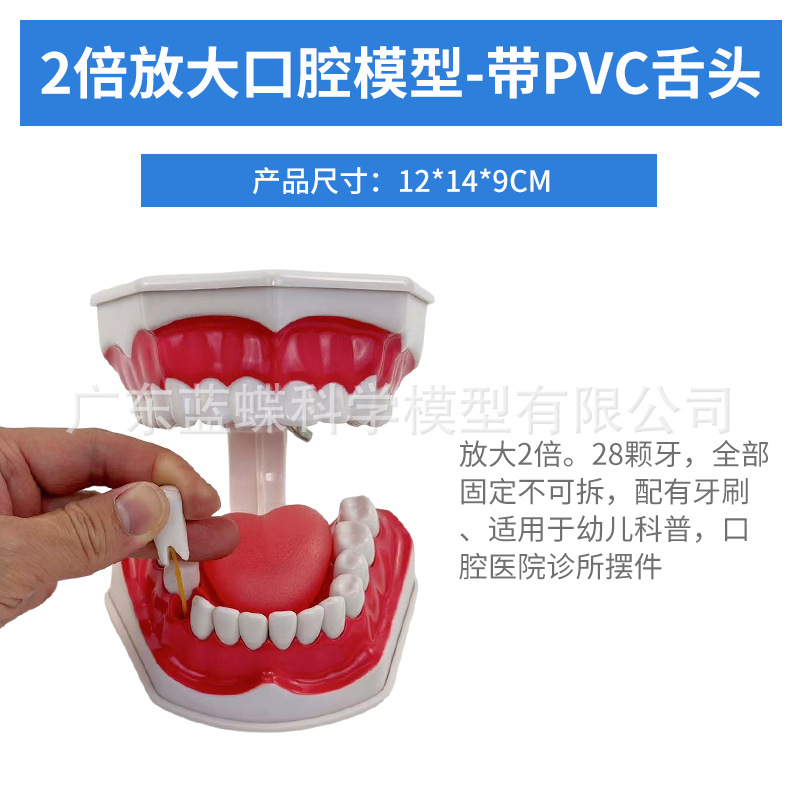 ��ͯ���ˢ��ģ������ �׶�԰��ǻ��ѧ����ģ�� �̾ߴ�ŷ�����ģ