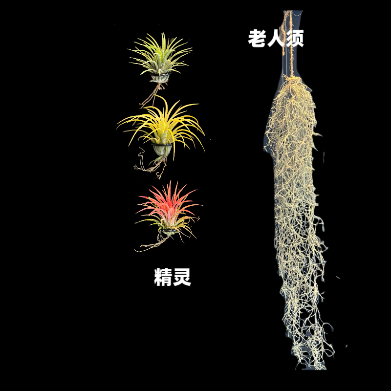 磁吸电表箱黑板DIY免打孔遮挡配电箱墙面遮丑磁吸空气凤梨ins风|undefined