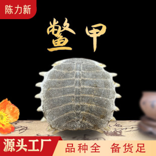 �M�� ���M�� ���M�״����M�׸��״��˸��� �M�� �����