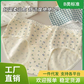 女士三角裤;少女文胸;男士平角裤