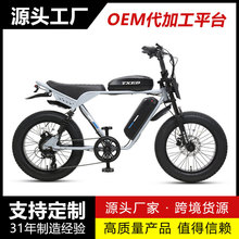 �羳���� Ħ��늄�����܇ �p늳�48V 13Ah*2�늳� ���L�m��