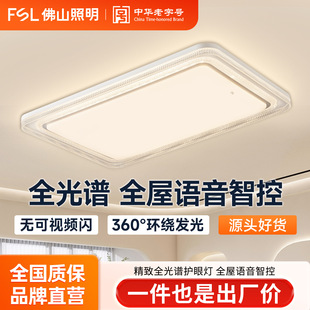 FSL��ɽ���� LEDȫ���V�͏d��2025�¿�F�����s�����o����픟�