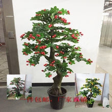 �P��٘�軨����ֲ���������������ϼٻ��͏d�҃ȾGֲ��������