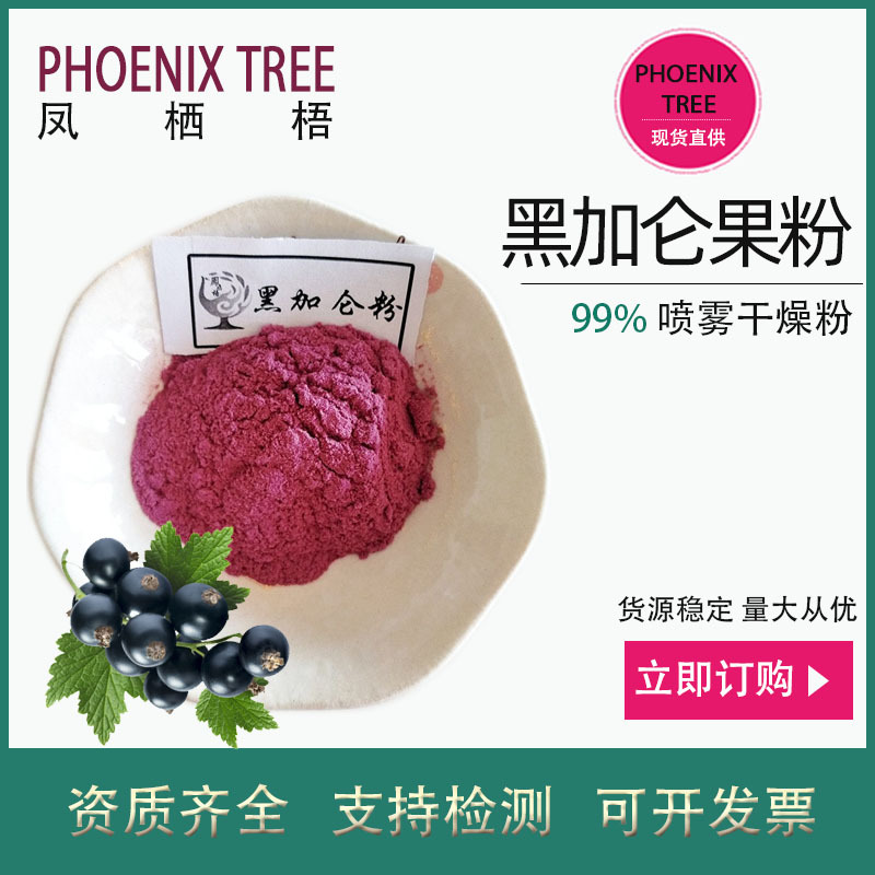 500g起订水溶黑加仑粉食品级黑加仑提取物固体饮料原料黑加仑汁粉