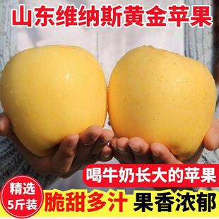 �����Ӿ�Ʒ�Ĵ�ԭ��S�{˹�O���Fժ�S���O�����������֭��������