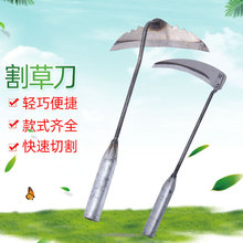 ��²ˌ���С砵���ݳ���С�z�^�i�砵��F���ؿ���Ұ���߲�����