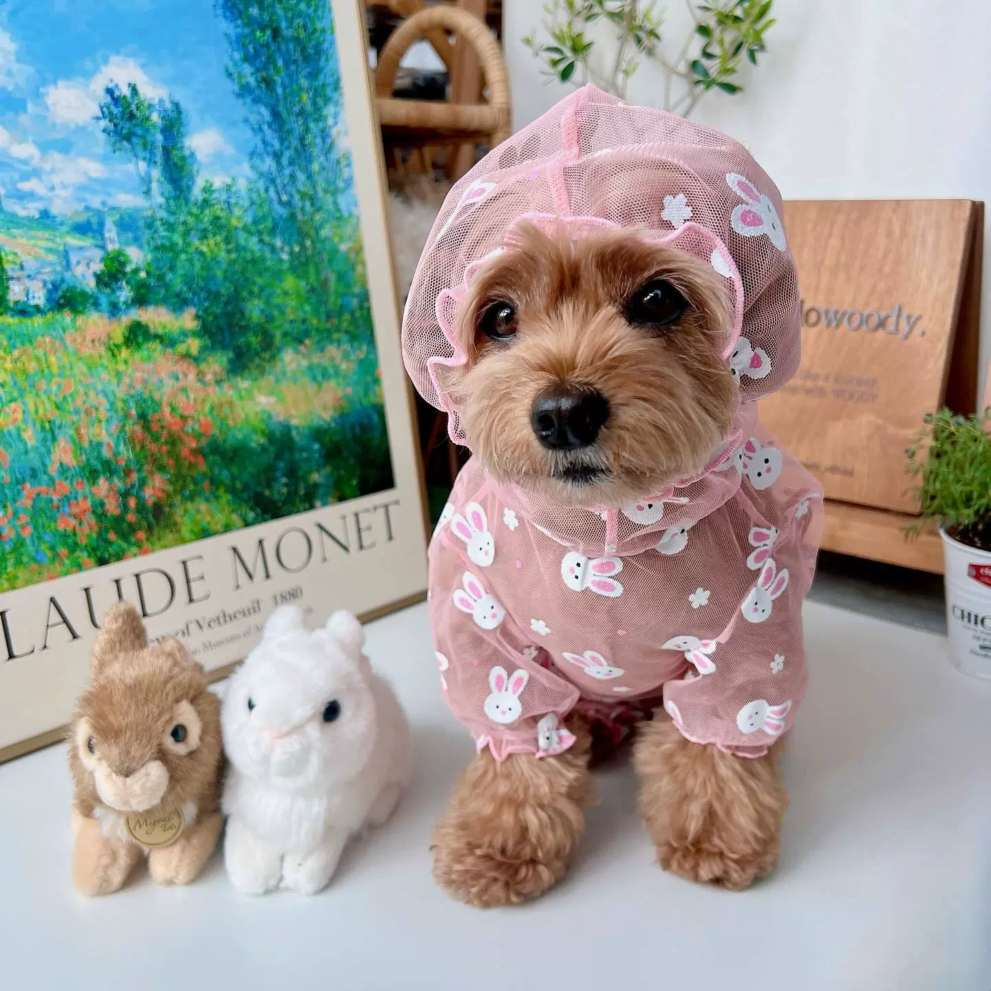 Летняя сетчатая одежда для домашних животных, прозрачная дышащая одежда с капюшоном и защитой от комаров и насекомых, четырехногая одежда Тедди Бишон Шнауцер для кошек