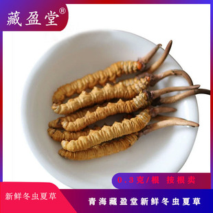 ��ӯ���ຣ���r�W�t���x�Ĳ�0.3-0.6��/���������u��Ҫ�Y��ϵ��