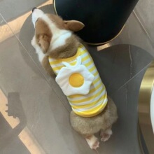 �����ļ����İ͸米���Č��ﹷ���l�y�ɰ����u�����Ĵ����·�