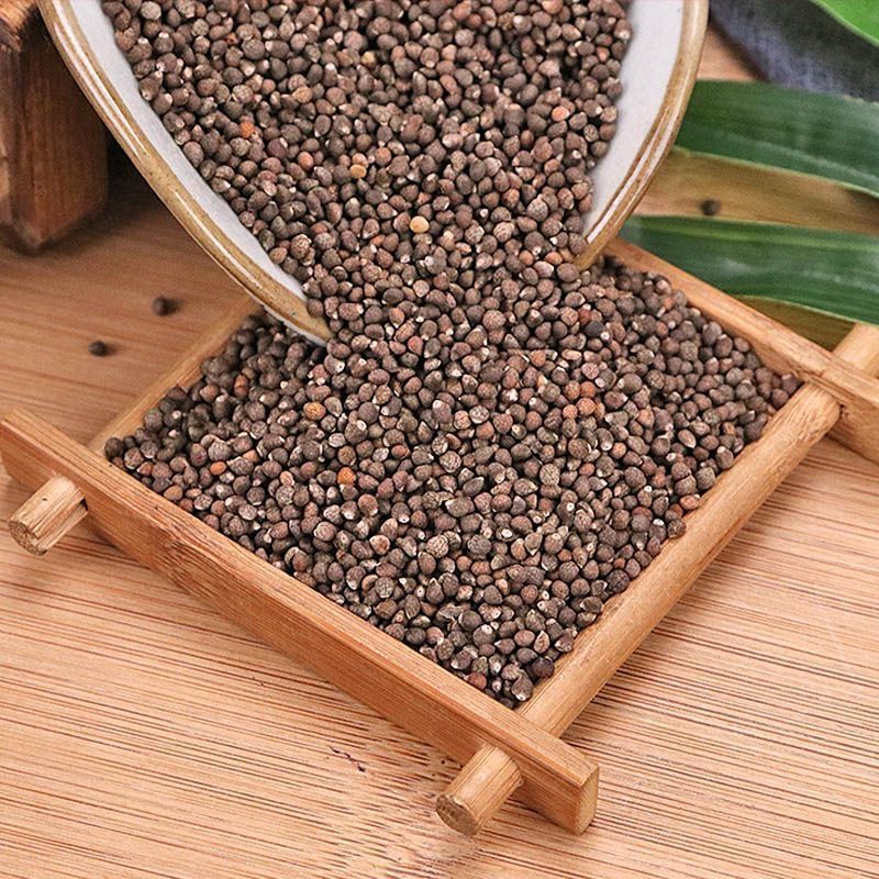 Perilla Seed Zi Su Zi 500g Dried Edible Seeds for Traditional Herbal Use quality and texture