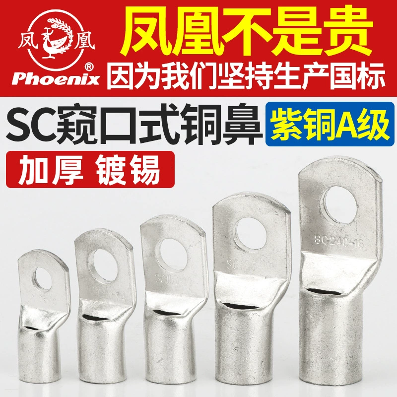 Подлинный феникс-клеммный SC4/6/8/10/25/70 медный разъем с глазом
