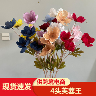 ܽ�����{ɫ���滨��Y�҃ș����b�·�����T��õ�tɫ��c���滨