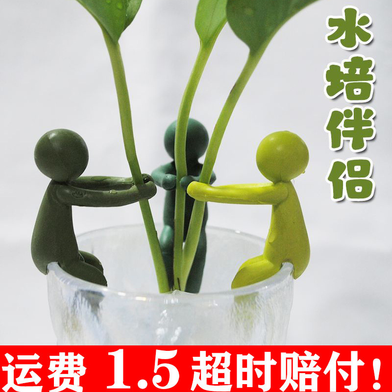 新しい水耕植物成長コンパニオン水耕容器、枝を正しく整え、デスクトップ装飾、固定形状、葉の倒れ防止|undefined