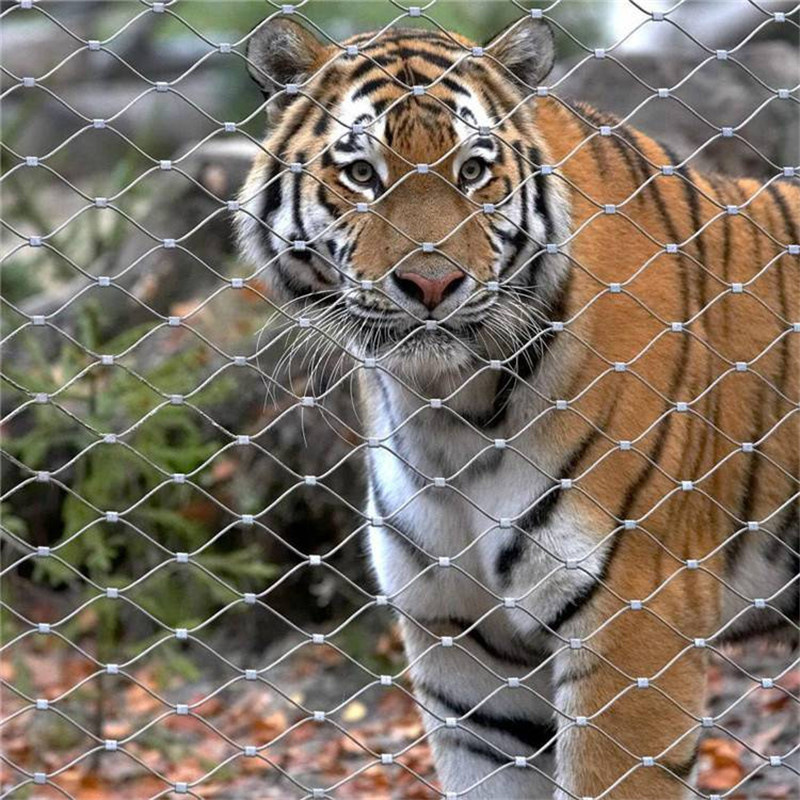 动物园笼舍网 金丝猴笼舍网 老虎笼舍防护网 鸟语林网 钢丝绳网