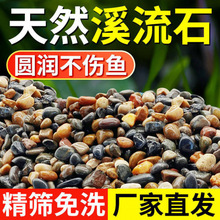 原生溪流石造景鱼缸底砂装饰五彩石大石头头纯天然铺底免洗鹅卵石