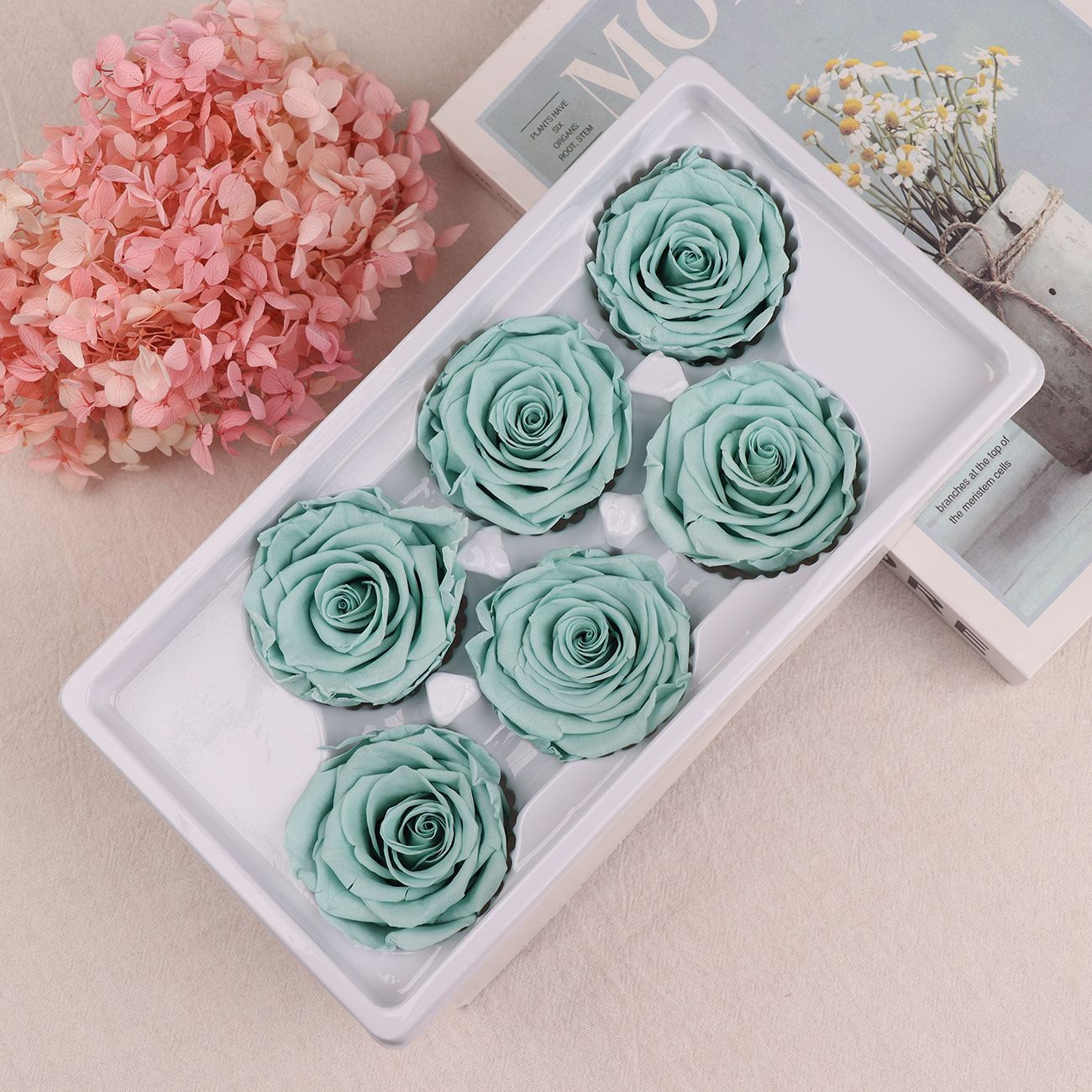 Rosa Preservada A+ de 5-6 cm, Flor Real Seca, Regalo DIY, Venta al por Mayor de Yunnan, Ramo para el Día de la Madre, 520