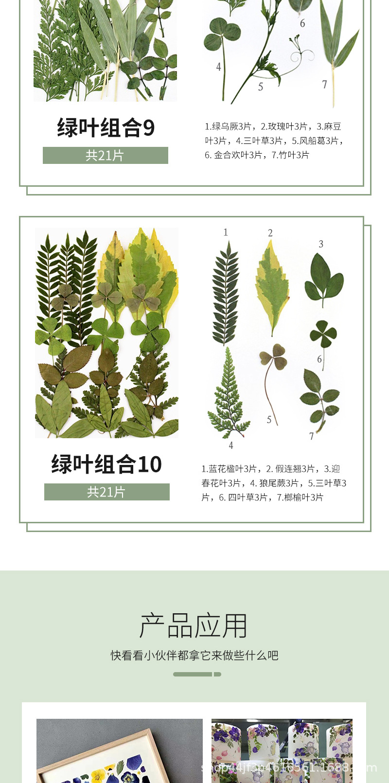 详情页_10.jpg