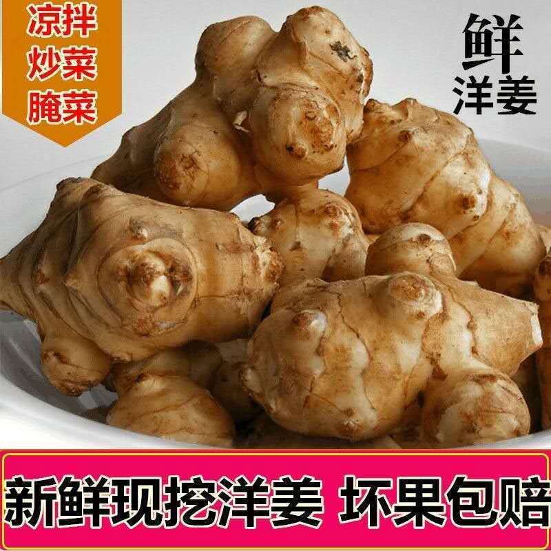 超值10斤洋姜现挖洋姜新鲜鬼子姜不辣姜菊芋洋姜休闲食品批发