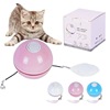New electric cat toy LED laser feathers teasing cat ball cat self -teasing cat stick USB charging funny cat supplies
