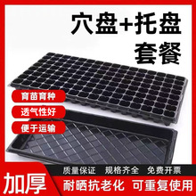 蔬菜水果专用穴盘加厚育苗盘园林塑料托盘+育苗盘套装可批发代发