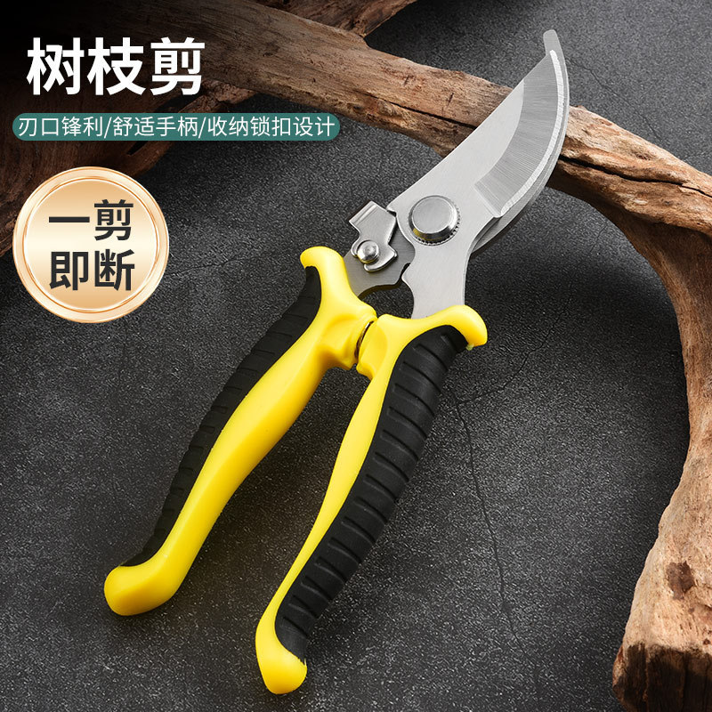 Stainless Steel Fruit Picking Shears, Pruning Shears, Multifunctional Gardening Scissors, Orchard Branches, Flower Branches, Grafting Branches, Garden Bonsai Stainless Steel Fruit Picking Shears, Pruning Shears, Multifunctional Gardening Scissors, Orchard Branches, Flower Branches, Grafting Branches, Garden Bonsai