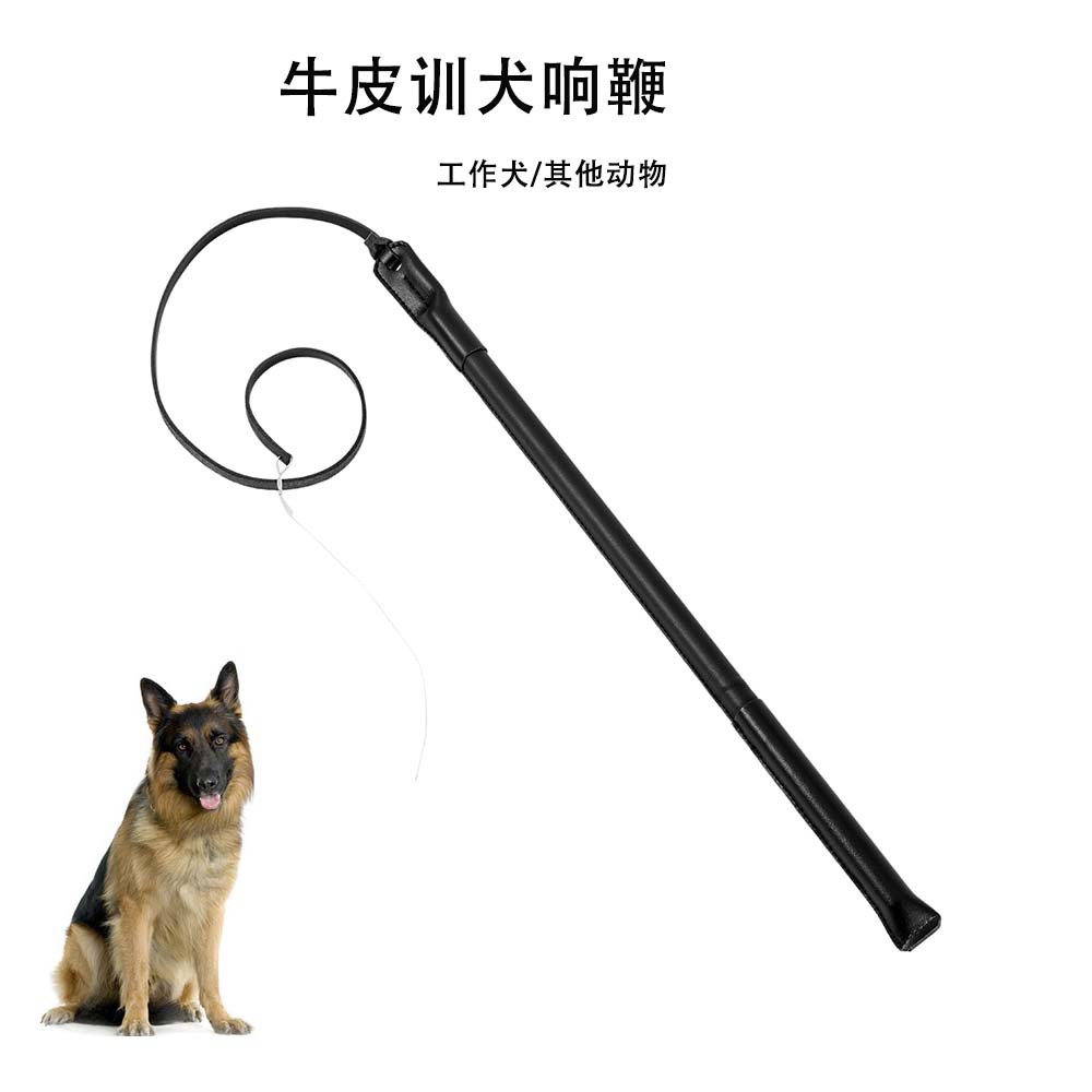 El adiestrador de perros transfronterizo utiliza el adiestramiento de perros, el equipo de adiestramiento de perros, el látigo, el bastón de golpe, el perro caballo de piel de vaca, el pastor alemán, el perro de trabajo, el bastón de mordedura