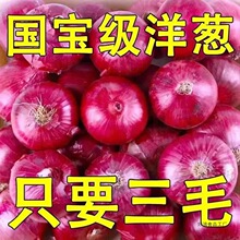 �����Ƥˮ�������[9�����rС���[��ζ�����߲˲����tƤ��A�[�^