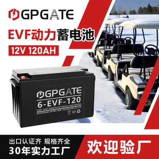 12V 24V 36V 48V 120AH늳حhl܇܇ߵؙCƿ
