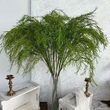 ���T��С�t�������J���ݷ���Gֲ���ͻ�Y��ˇɭϵ���þGֲ����