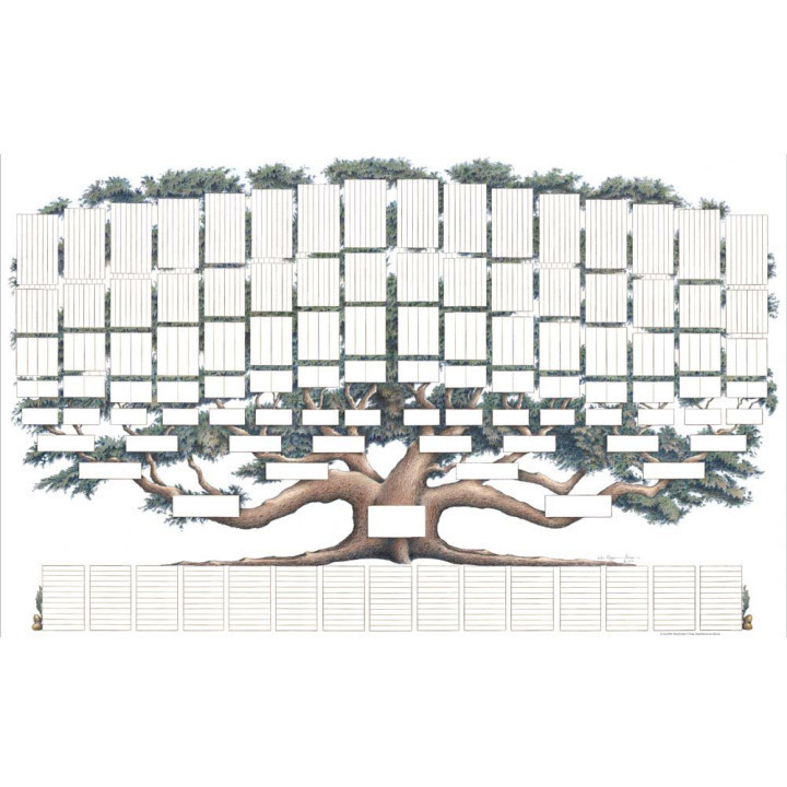 Mapa de árbol familiar colgante de genealogía especial transfronterizo Complete la historia familiar personal Mapa de genealogía familiar de bricolaje