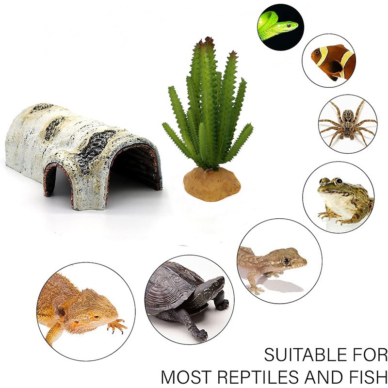 Las mascotas trepadoras evitan la cueva, la tortuga, la terraza, la lagartija, el palacio, la casa, el escorpión, la araña, el reptil, el paisaje, la corteza, la plataforma trepadora