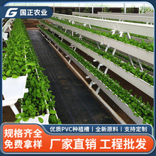 pvc���w��ݮ�Nֲ���Ԏ���ˮ�۹�����ˮ�߲˲�t���ͻ��|�����