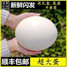 ���O�ٰl��������S���]�����r�B�����������r��ʳ�õ��ش�̖��B