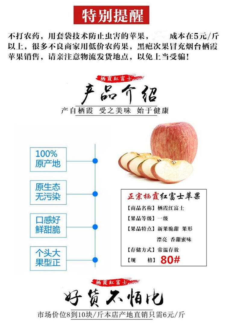 今年做苹果批发怎么样