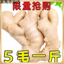 生姜老姜新鲜大姜黄姜风干姜月子姜生姜块老姜母整箱云南斤包