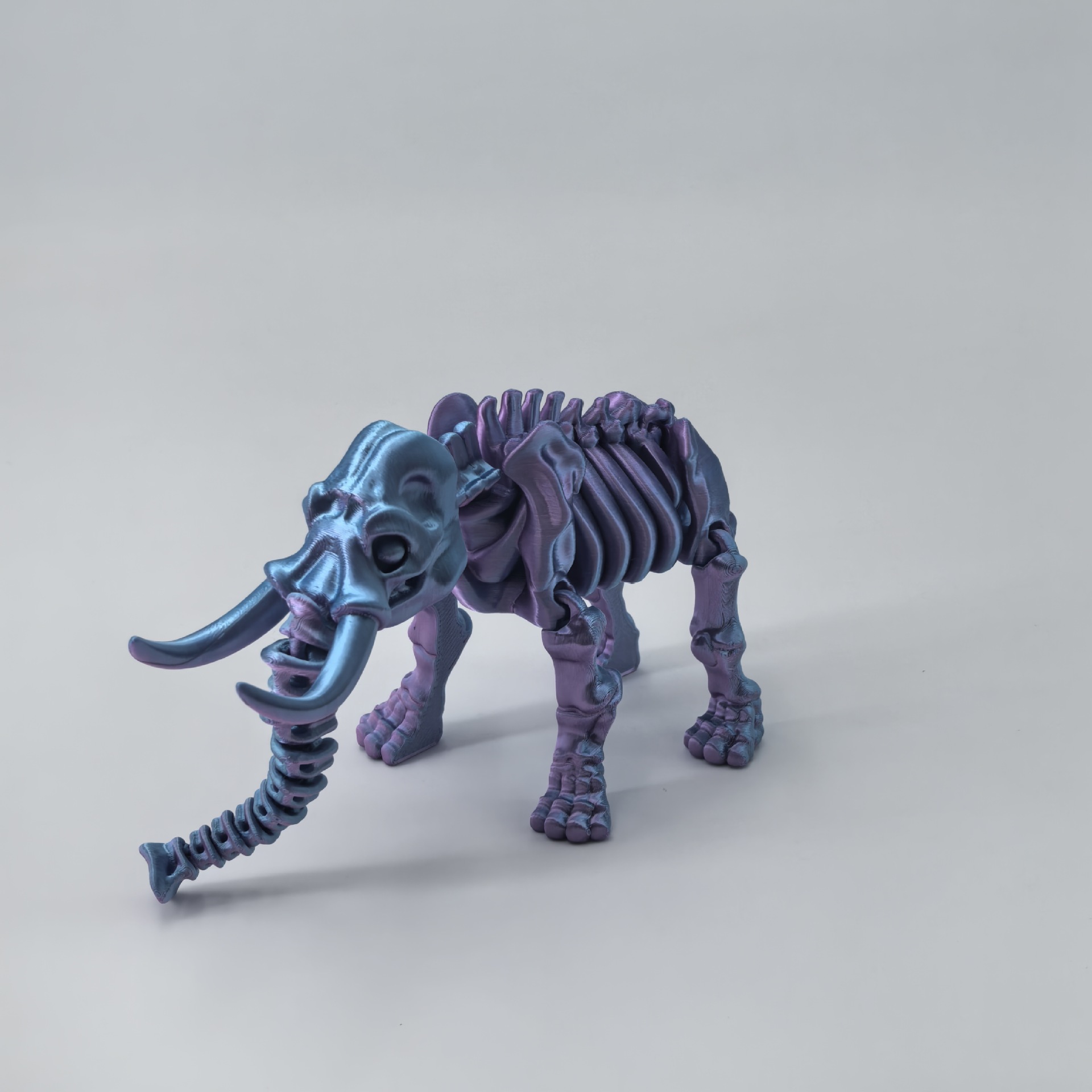 코끼리-핑크 블루