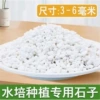 Fixed value aquatic plant small white stone 5 catties pack