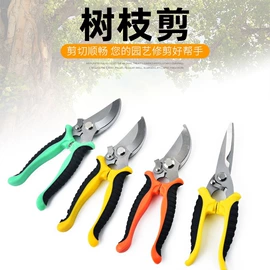 家用剪刀;修枝剪;厨用剪刀