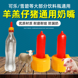 �������С�������iι��������ƿ��������ƿ�F���i�������ƿ����