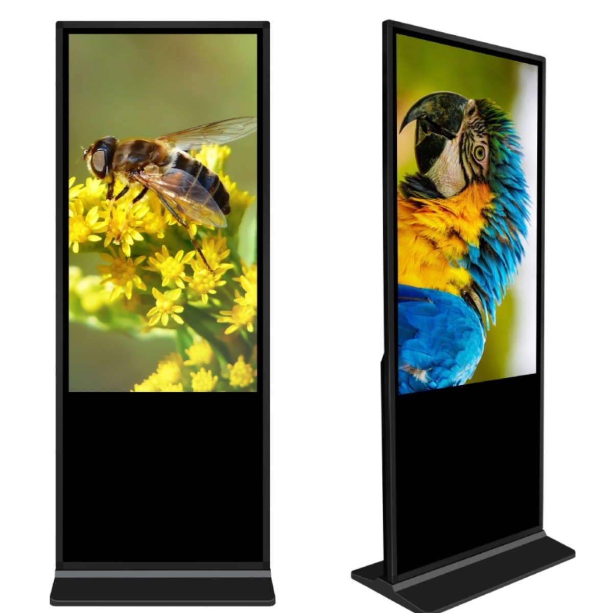 Fábrica de 32 / 43 pulgadas HD piso vertical máquina de publicidad LCD táctil pantalla vertical liberación remota pantalla grande