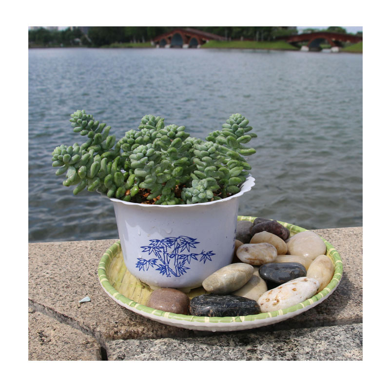 ֻ5-10mmװβʯ 쾰רʯ