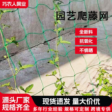 �羳����ֲ�����پW�S�Ϸ������ټܾW �@ˇ���ﻨ���������پW