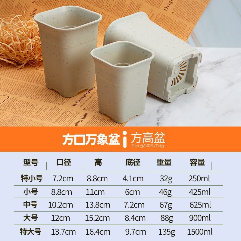 5 cuadrados de Vientiane (blanco mármol)