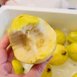 方便面类;膨化;面筋制品