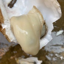 ̨ɽ�������V�|���rˮ�a5��10�﷨ʽ���r�ش�ʳ����r��ĵϠ