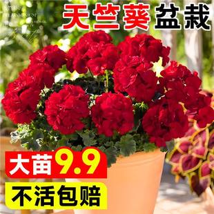 �ذ����ÿ����Ի����̨���B���_���ܴ��ļ��������������҃�