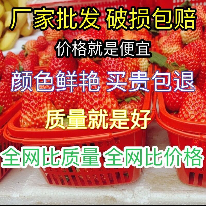 Fruit Basket for Holding Fruits, High-End Fruit Basket, Small Basket for Strawberries, Commercial Fruit Picking Basket, Fruit Basket Basket Fruit Basket for Holding Fruits, High-End Fruit Basket, Small Basket for Strawberries, Commercial Fruit Picking Basket, Fruit Basket Basket