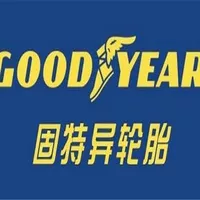Goodyear Зима Спецификация склада прямо из 255/40R20 F1-5 поколения отечественного хлопка