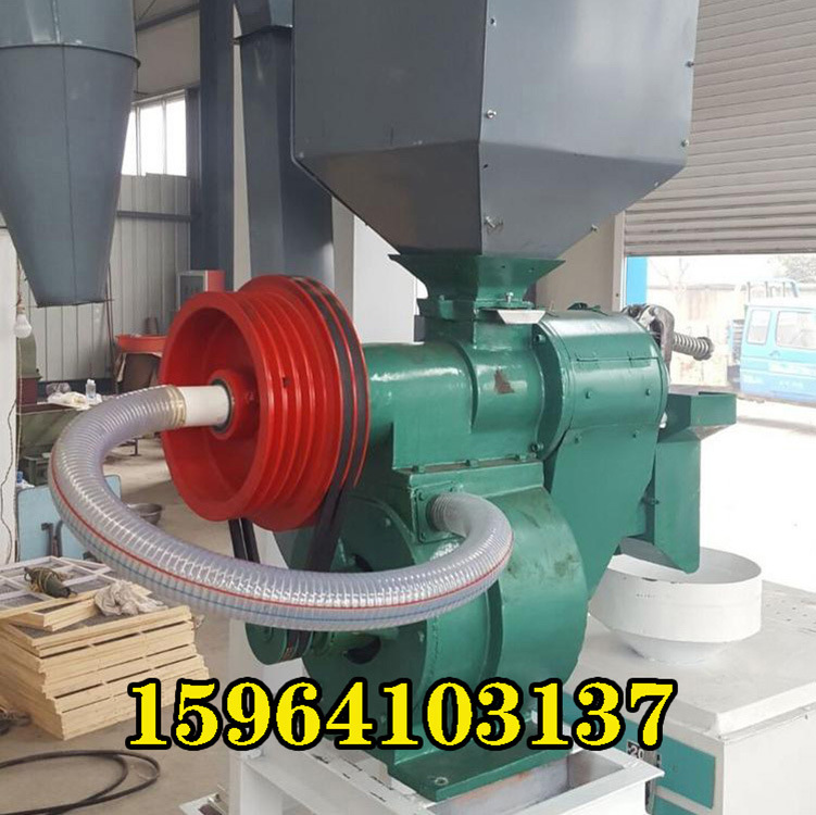 ùĥ׻ ȼӹѿ׻ ׻¿ֱ