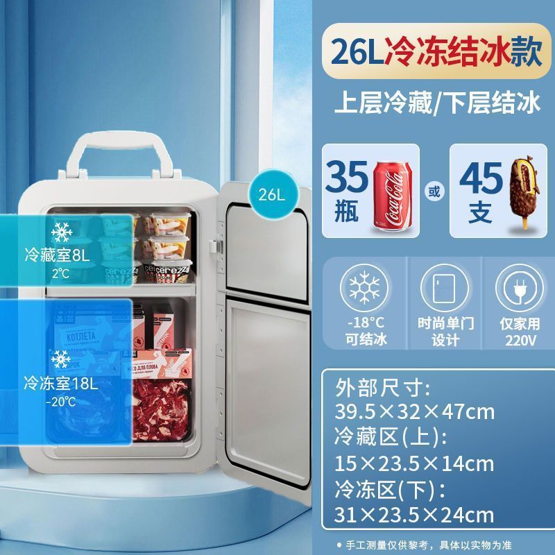 迷你冰箱小型速冻宿舍家用冷冻结冰一人小冰柜母乳专用车载冰箱|undefined